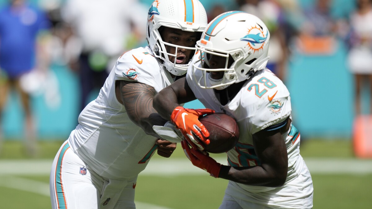 Miami dolphin stuff sales